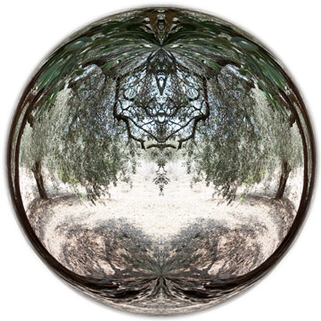 Sphere 02 [Oliven], 33 x 48 cm, C-Print, 2009